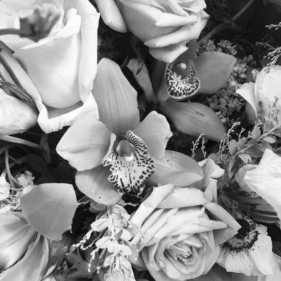 Meet your Posher, Mandy - Picture 1 of 1